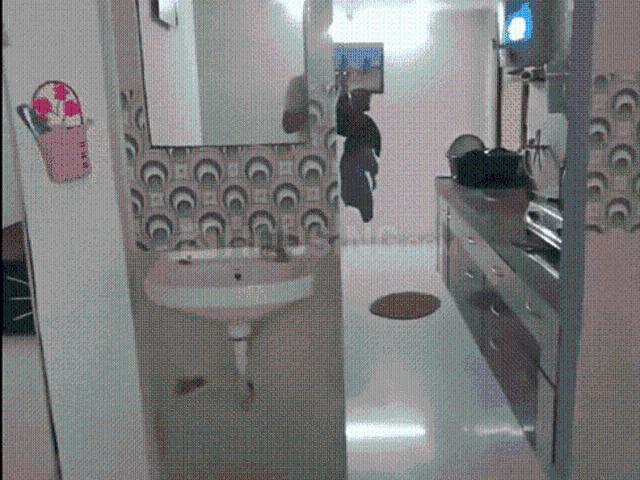 Flat for rent in Gujarat