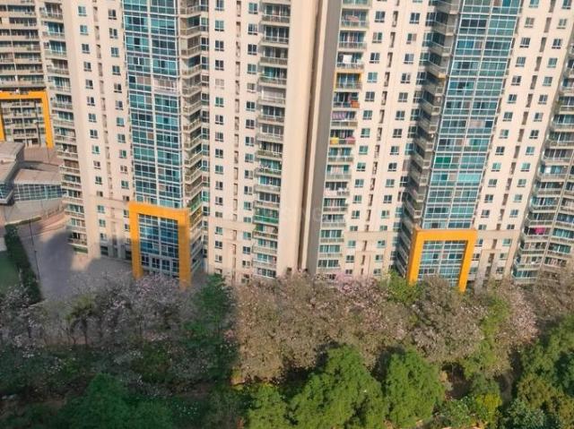 Flat for rent in Haveli, National Capital Territory Of Delhi