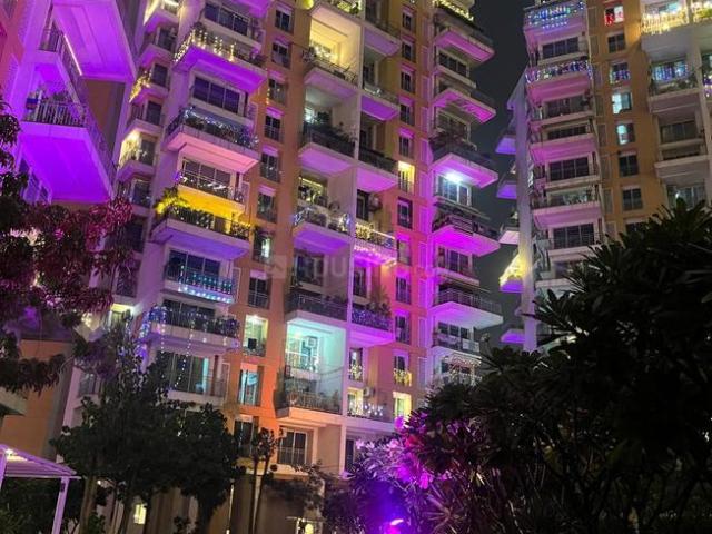Flat for rent in Nagpur, National Capital Territory Of Delhi