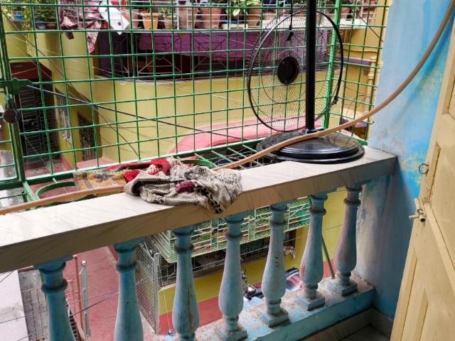 Flat for rent in Calcutta, West Bengal