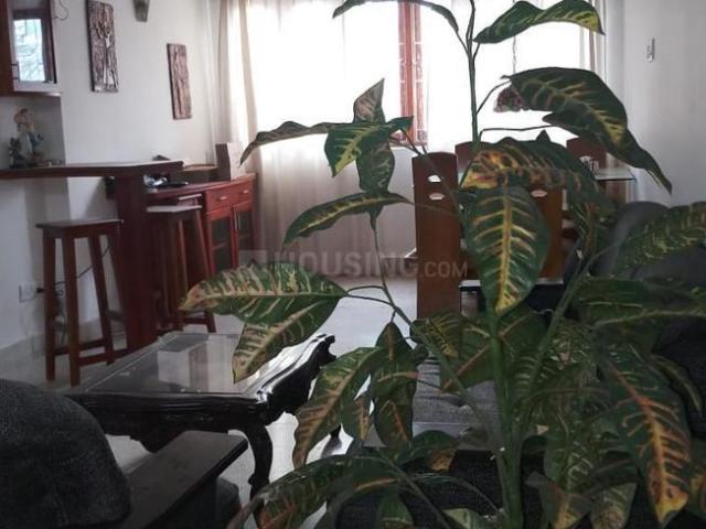 Flat for rent in Bangalore North, Cox Town - Bangalore