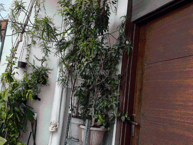 Flat for sale in Vasundhara - Delhi, Arunachal Pradesh