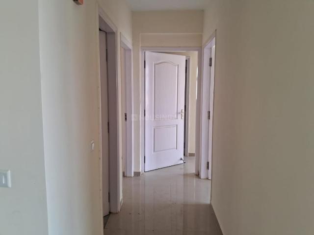 Flat for rent in Arunachal Pradesh