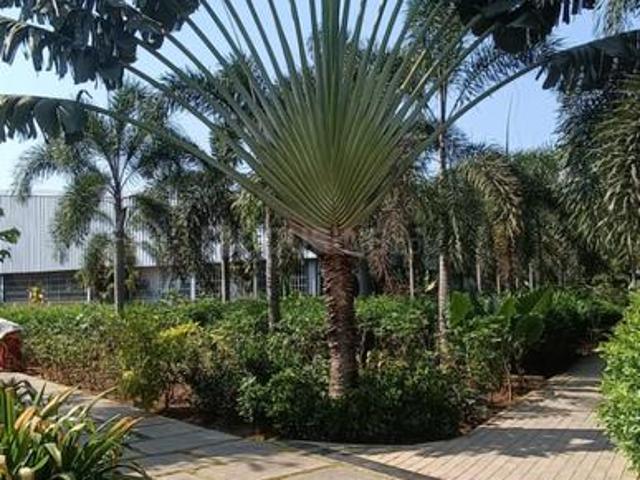 Flat for rent in Kelambakkam, Tamil Nadu
