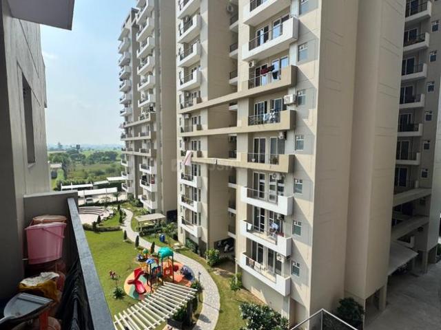 Flat for rent in Punjab