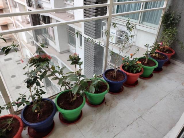 Flat for rent in Prabhadevi - Mumbai, National Capital Territory Of Delhi