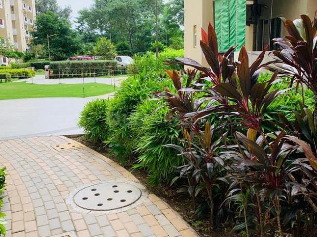Flat for rent in Hariana