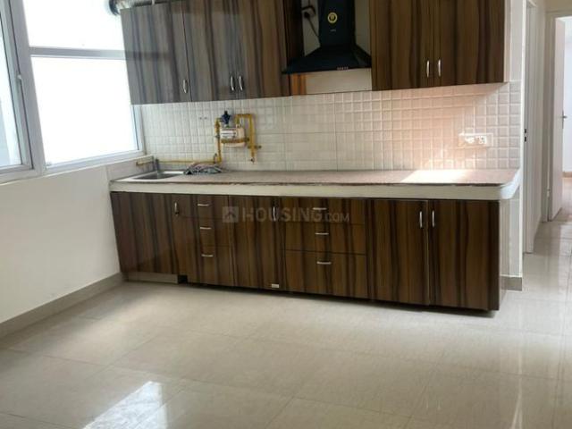 Flat for rent in Tulip Lemon, Gurugram