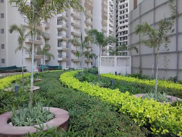 Flat for rent in Noida, Gautam Buddha Nagar