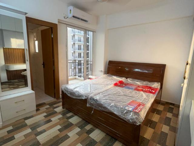 Flat for rent in Orris Kohana, Gurugram