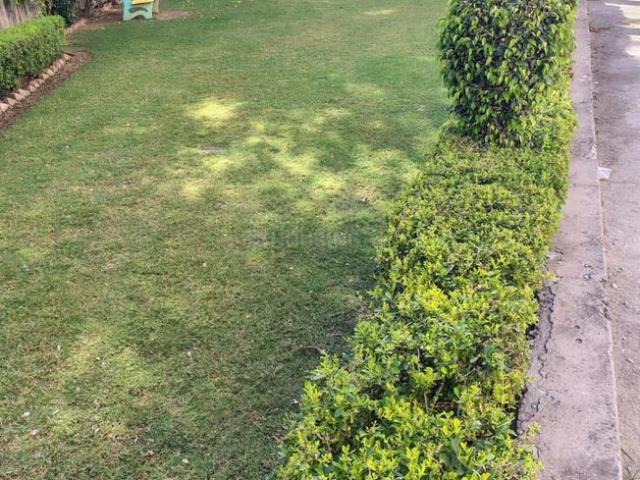 Flat for sale in Tora, Arunachal Pradesh