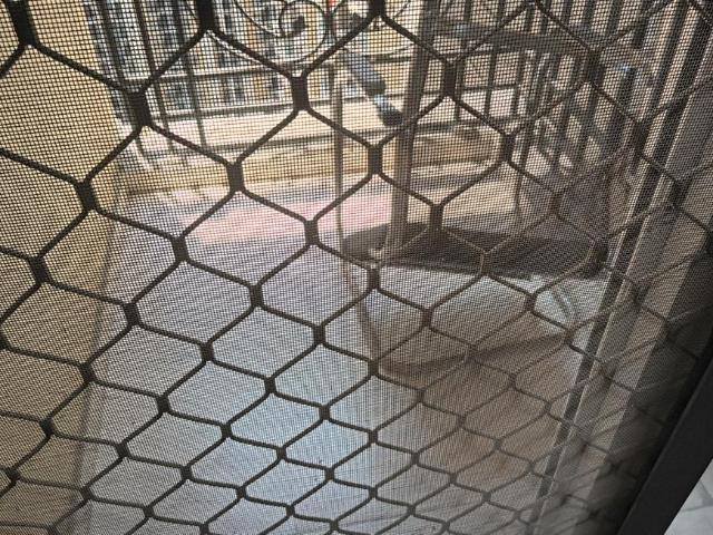 Flat for rent in Vasundhara - Delhi, Arunachal Pradesh