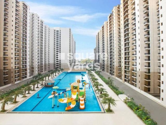 Flat for rent in Arunachal Pradesh