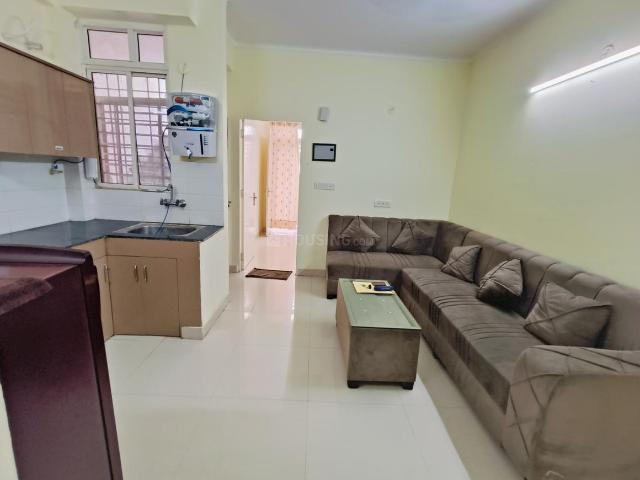 Flat for rent in Rajasthan