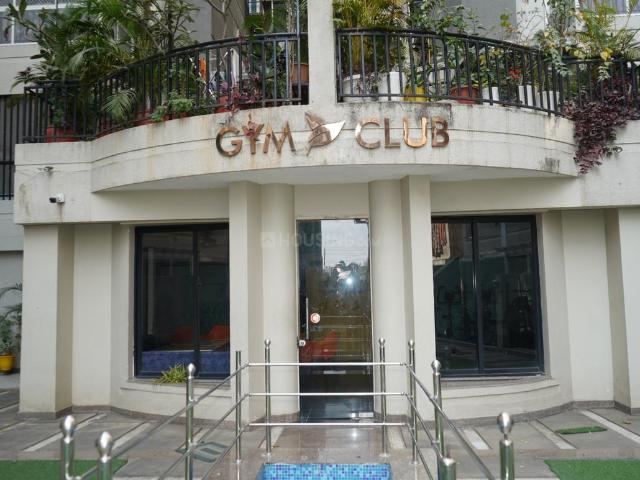 Flat for rent in Madya