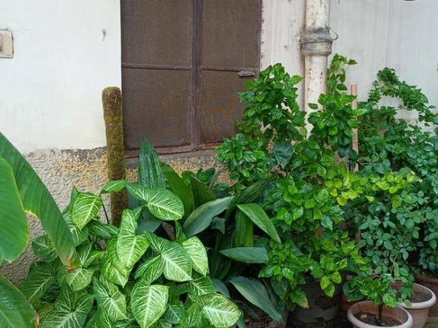 Flat for sale in West Delhi, Deri