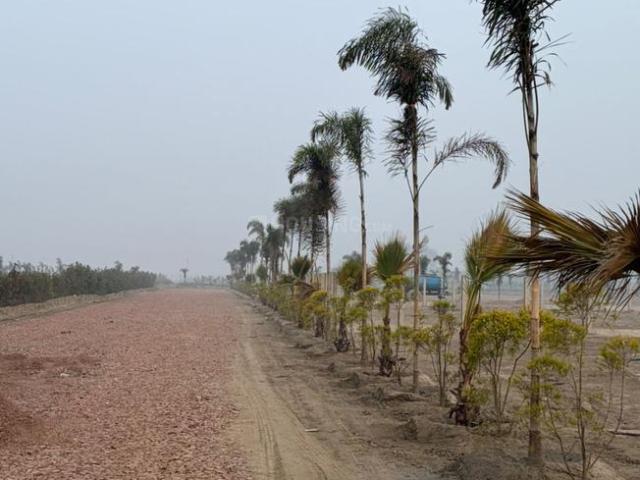 House for sale in Arunachal Pradesh