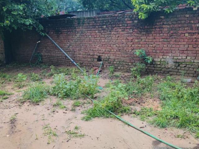 House for rent in Hariana