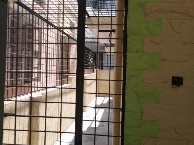 Flat for rent in Bangalore South, Cox Town - Bangalore