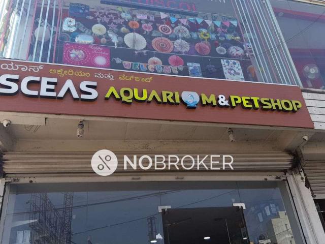 Flat for rent in Bangalore South, Cox Town - Bangalore