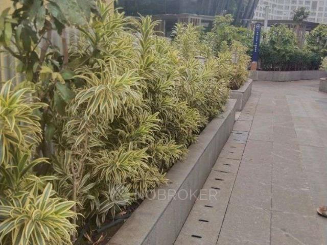 Flat for rent in Keshav Nagar, Poona