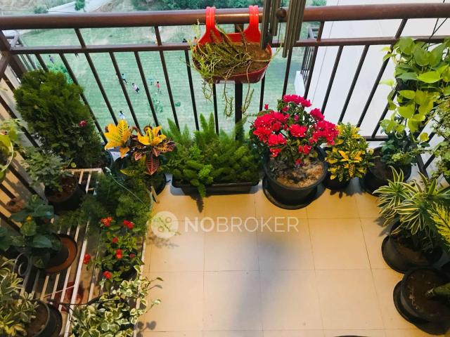 Flat for rent in Hariana