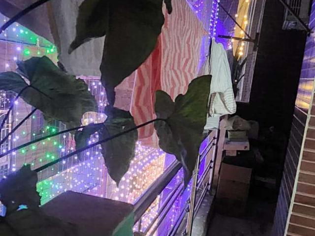 Flat for rent in South Delhi, Deri