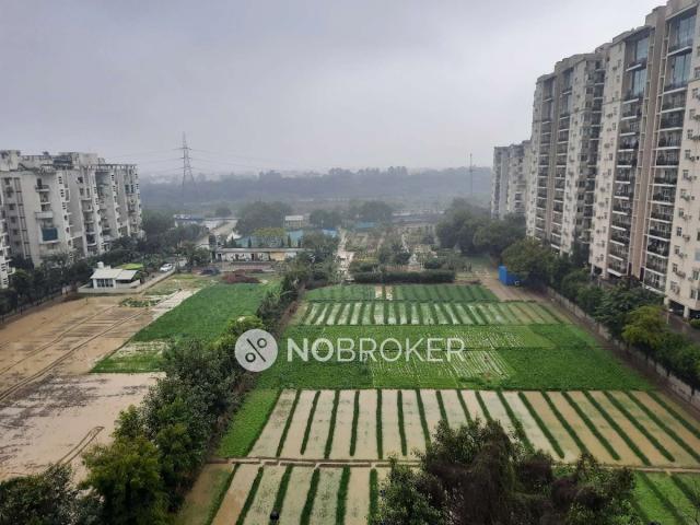 Flat for rent in Hariana