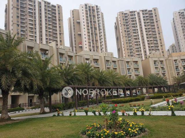Flat for rent in Greater Noida - Delhi, Arunachal Pradesh
