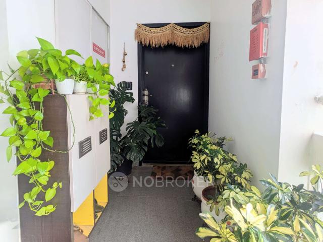Flat for rent in Bangalore East, Cox Town - Bangalore
