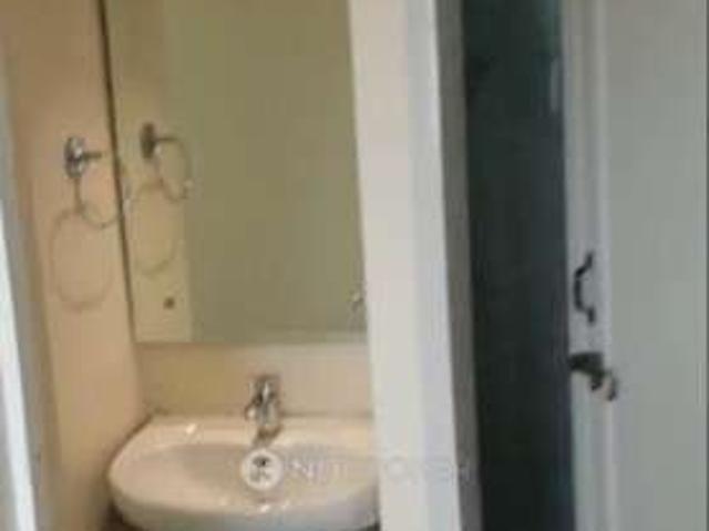 Flat for rent in Tulip Lemon, Gurugram