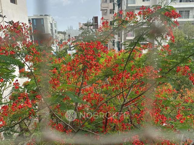 Flat for rent in Haidarabad, Telangana