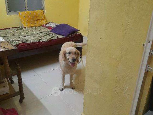Property for rent in Anna Nagar, Tamil Nadu