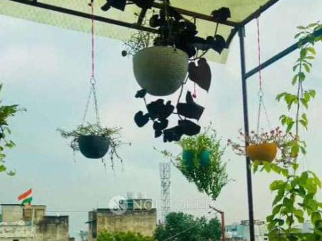 Property for rent in West Delhi, Deri