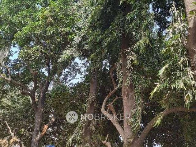 House for sale in Kamothe - Mumbai, National Capital Territory Of Delhi