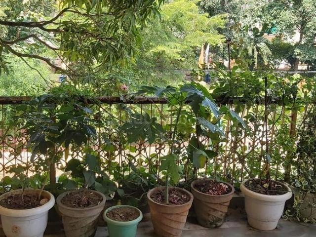 Flat for rent in Madya