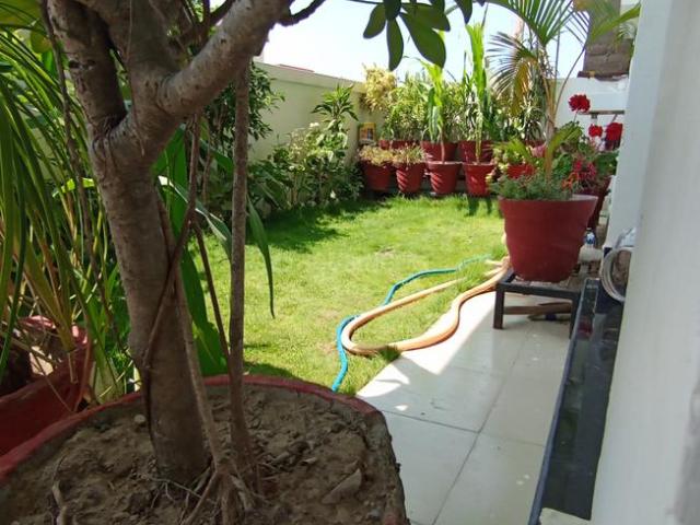 Flat for rent in Kedarpur, Uttarakhand