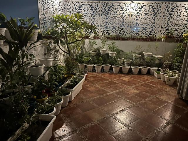 Flat for rent in Deri