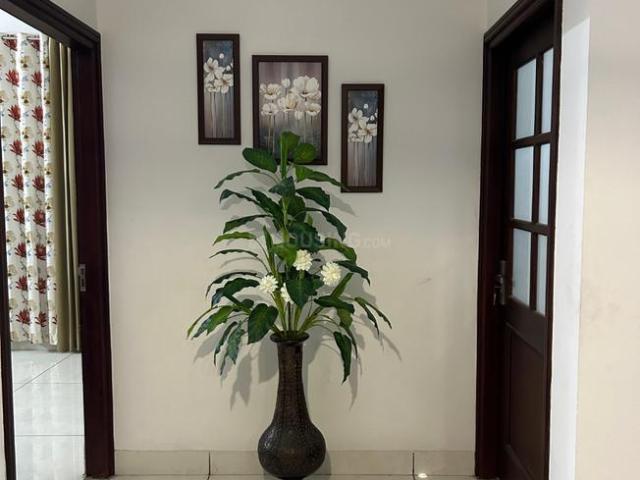 Flat for rent in Patiala, Punjab