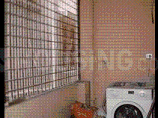 Flat for rent in Bangalore East, Cox Town - Bangalore