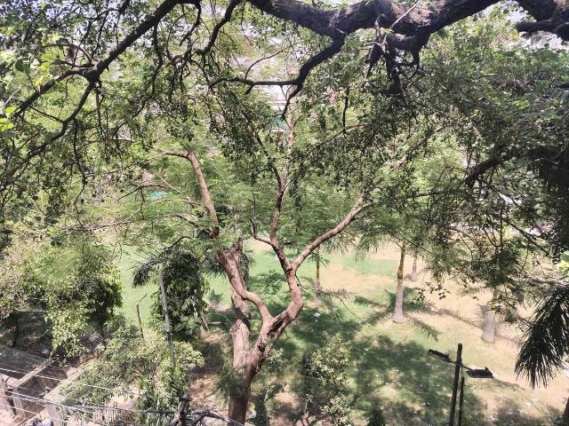 Flat for rent in South Delhi, Deri