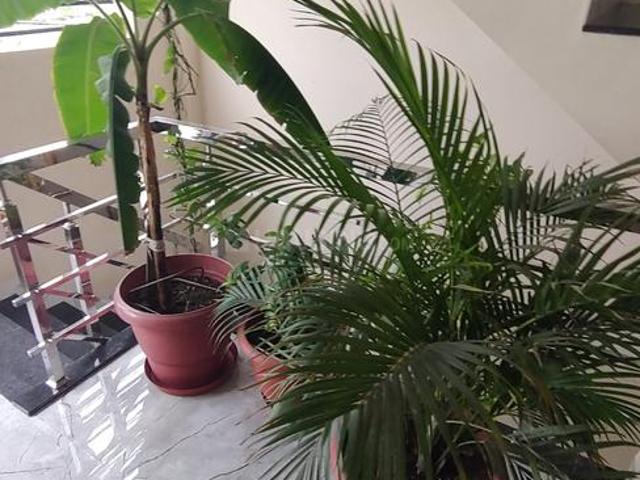 Flat for rent in Madya