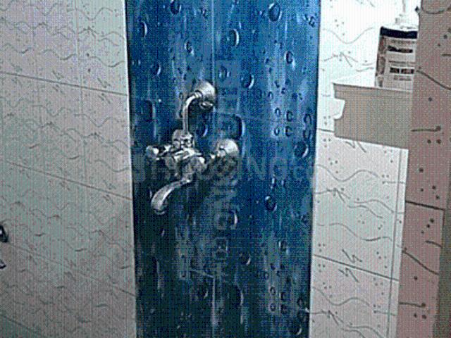 Flat for rent in Morjim, Goa