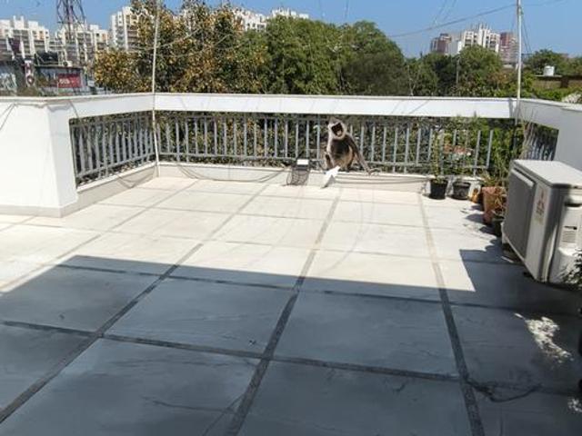 Flat for rent in Hariana