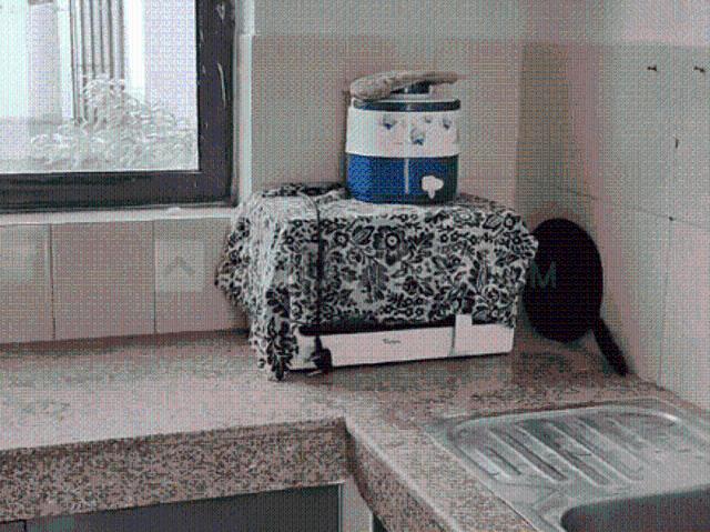 Flat for rent in Hariana