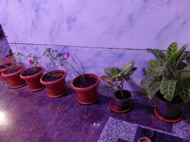 House for rent in Pakirtekiya, Ghatkesar mandal
