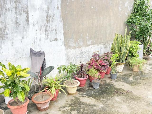House for rent in Kanpur, Arunachal Pradesh