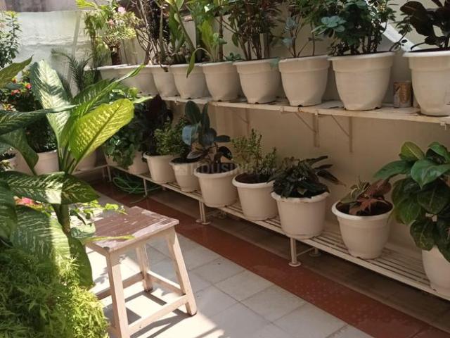 House for rent in Nagpur, National Capital Territory Of Delhi
