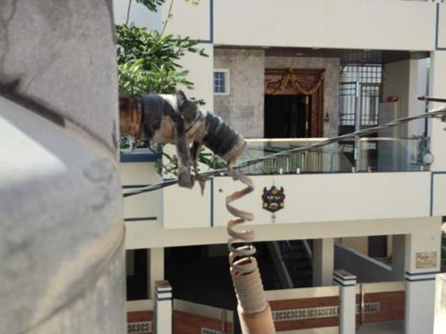 House for rent in Bangalore North, Cox Town - Bangalore