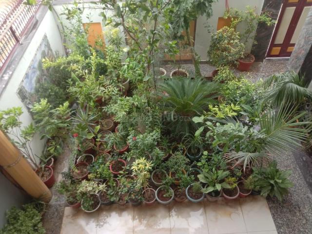 House for rent in Jhusi, Arunachal Pradesh